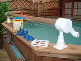 DSCF0020.JPG